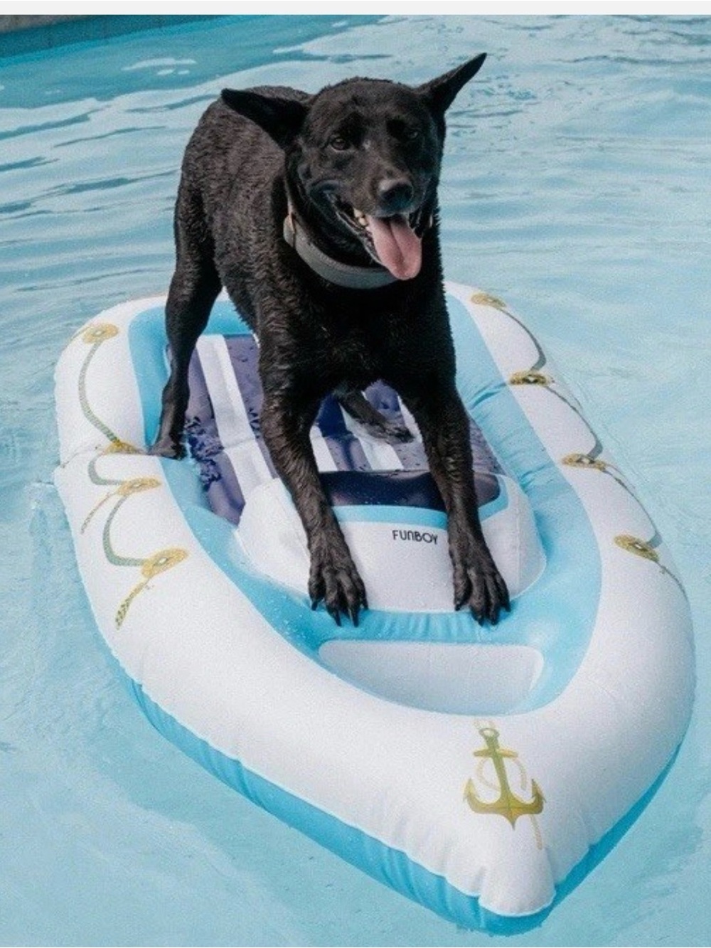 Funboy x Bark Yacht Dog Luxury Pool Float Life Water Pet Toy 63x27 NIB